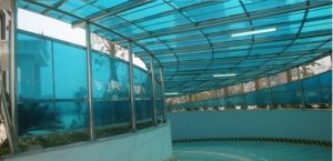 tam-lop-hop-menh-hop-phong-thuy-